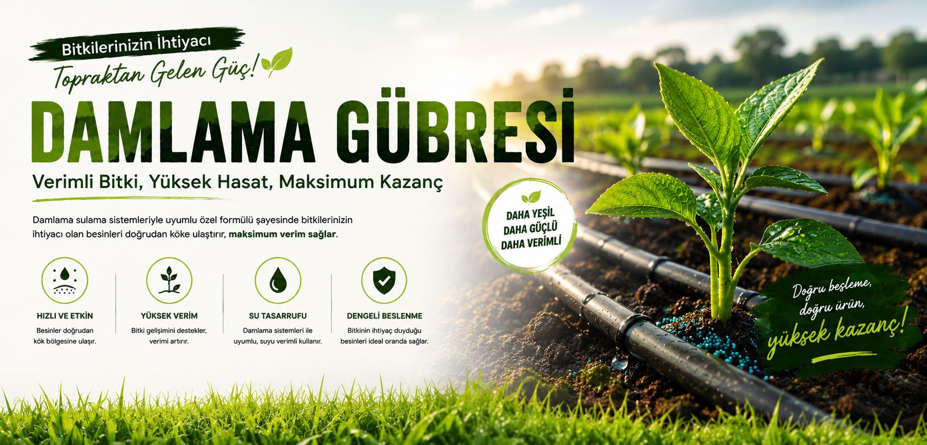 DAMLAMA GÜBRESİ